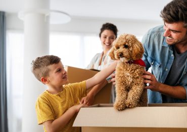 Comment garder votre animal de compagnie en sécurité pendant le déménagement ?